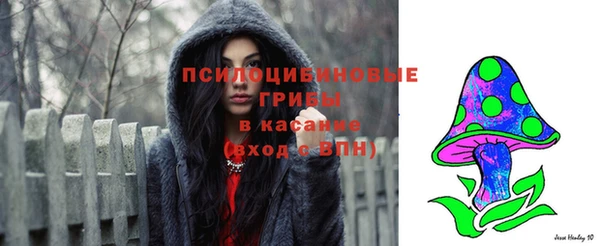 сатива Абинск