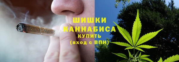 сатива Абинск