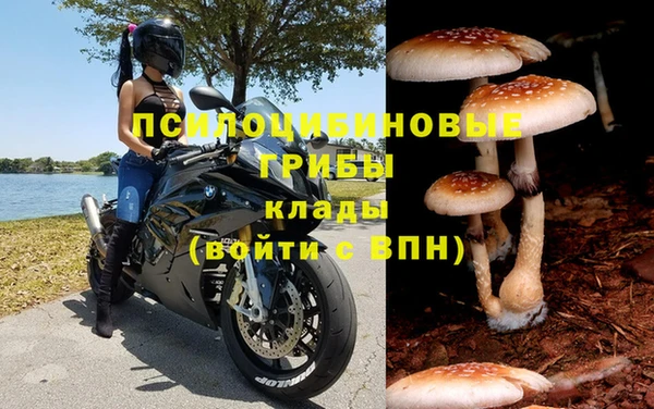 сатива Абинск