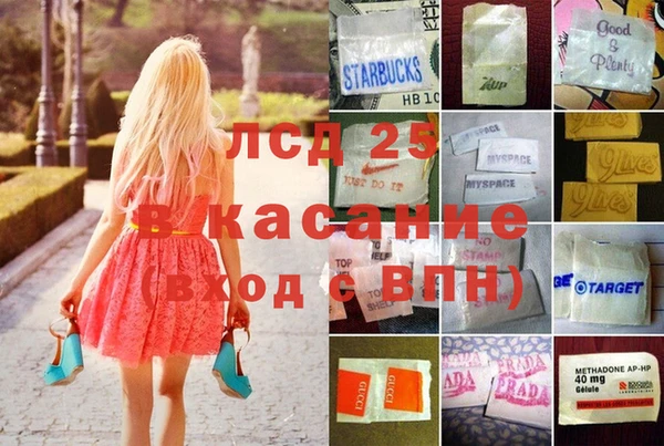 сатива Абинск
