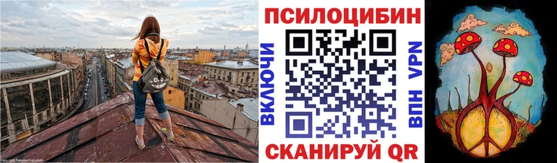 Псилоцибиновые грибы Psilocybine cubensis  цены   Лесозаводск 